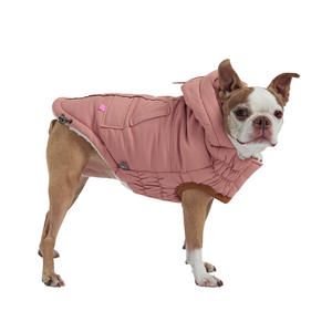 Pet Apparel