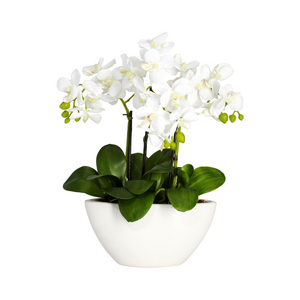 Artificial Flora