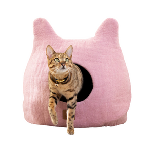 Cat Supplies
