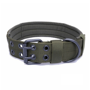 Pet Collars & Harnesses