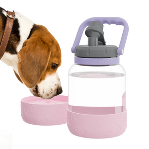 Dog Supplies