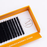 Cashmere Matte Volume 0.05 from Mega Lash Academy