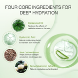 Aloe Hydrating Serum from ALODERMA