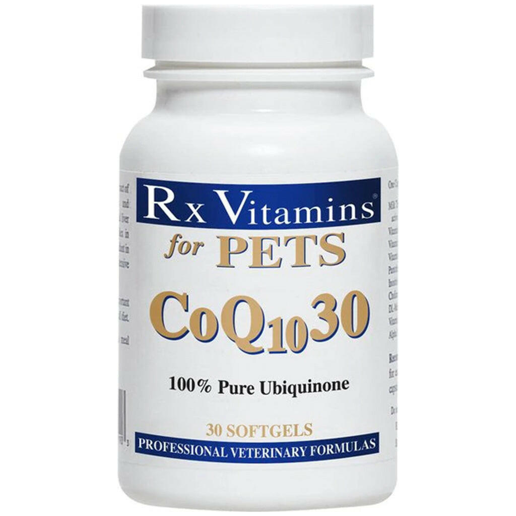 Rx Vitamins CoQ10 Supplement For Dogs and Cats (30 softgels) from HardyPaw