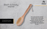 Bath Body Massage Brush from Choixe