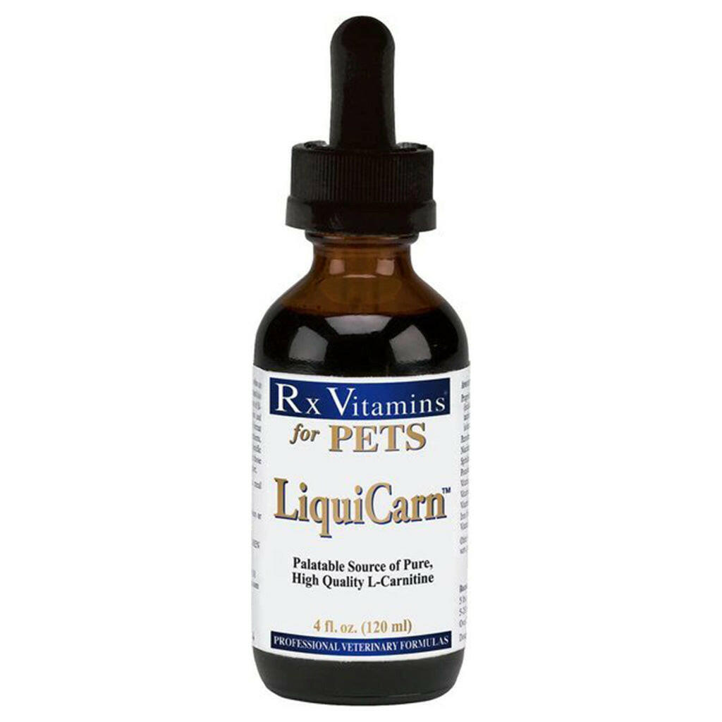 Rx Vitamins LiquiCarn Heart Supplement for Dogs and Cats (4 oz) from HardyPaw