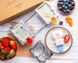 STAINLESS STEEL POPSICLE MOLDS, 3 CAT MOLDS with REUSABLE STEEL STICKS from ecozoi