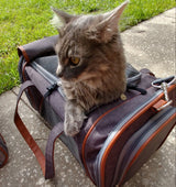 Mr. Peanut's Gold Series Standard Size Airline Compliant Pet Carrier from Mr. Peanut's Pet Carriers