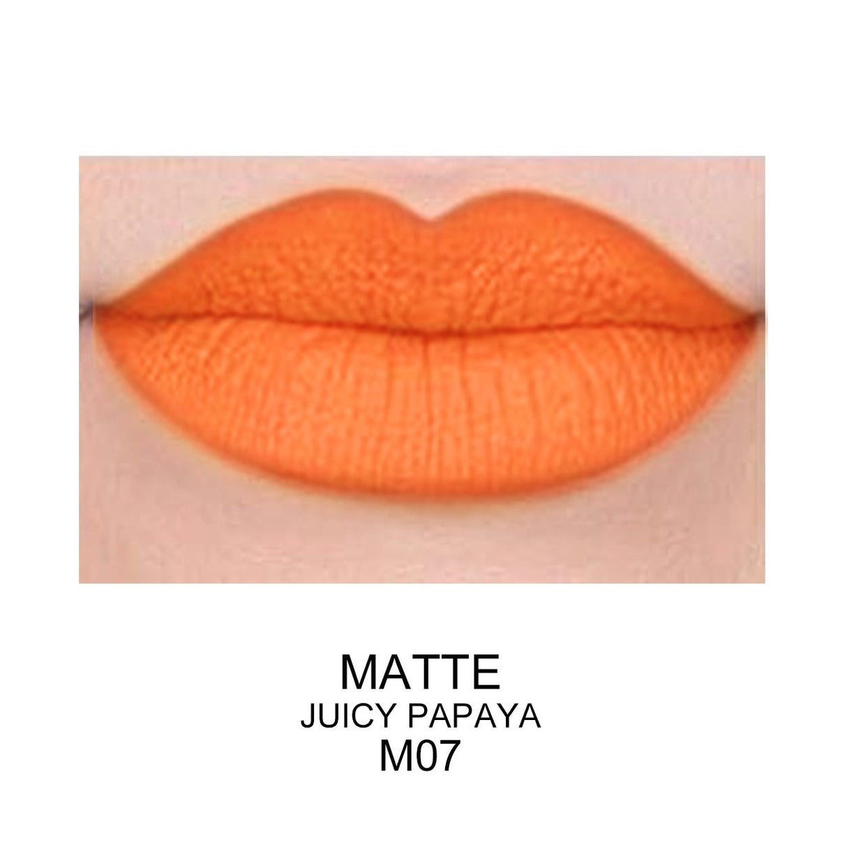 Best Matte Long Lasting Lip Gloss - Prolux From Prolux Cosmetics