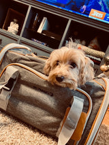 Mr. Peanut's Platinum Series Double Expandable Pet Carrier from Mr. Peanut's Pet Carriers