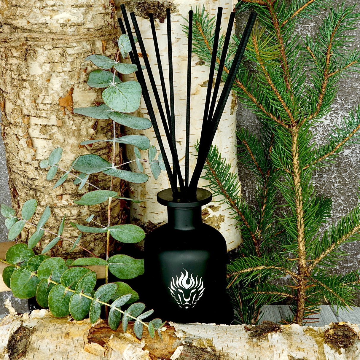 White Birch Candle from The Lion's Den Candle Company