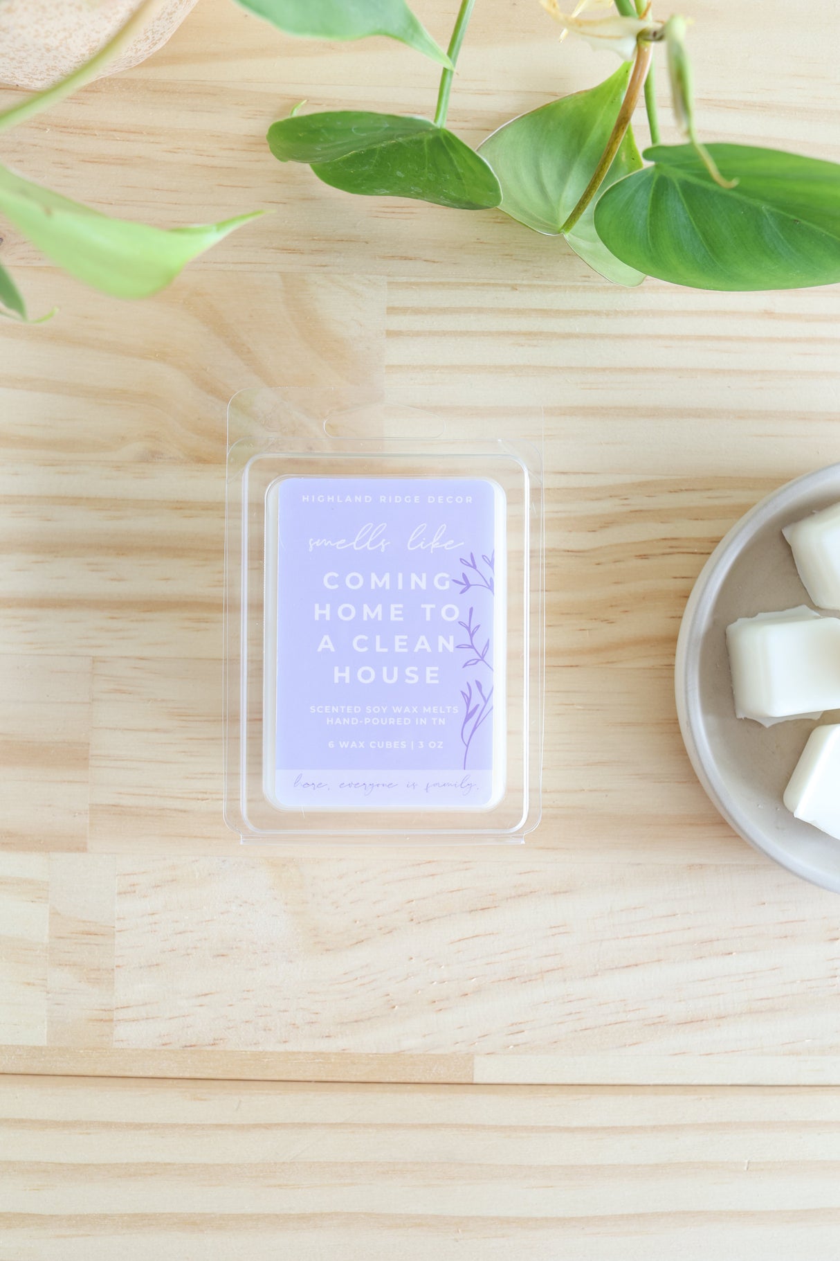 Coming Home to a Clean House Wax Melt from Jubilee Trading Company