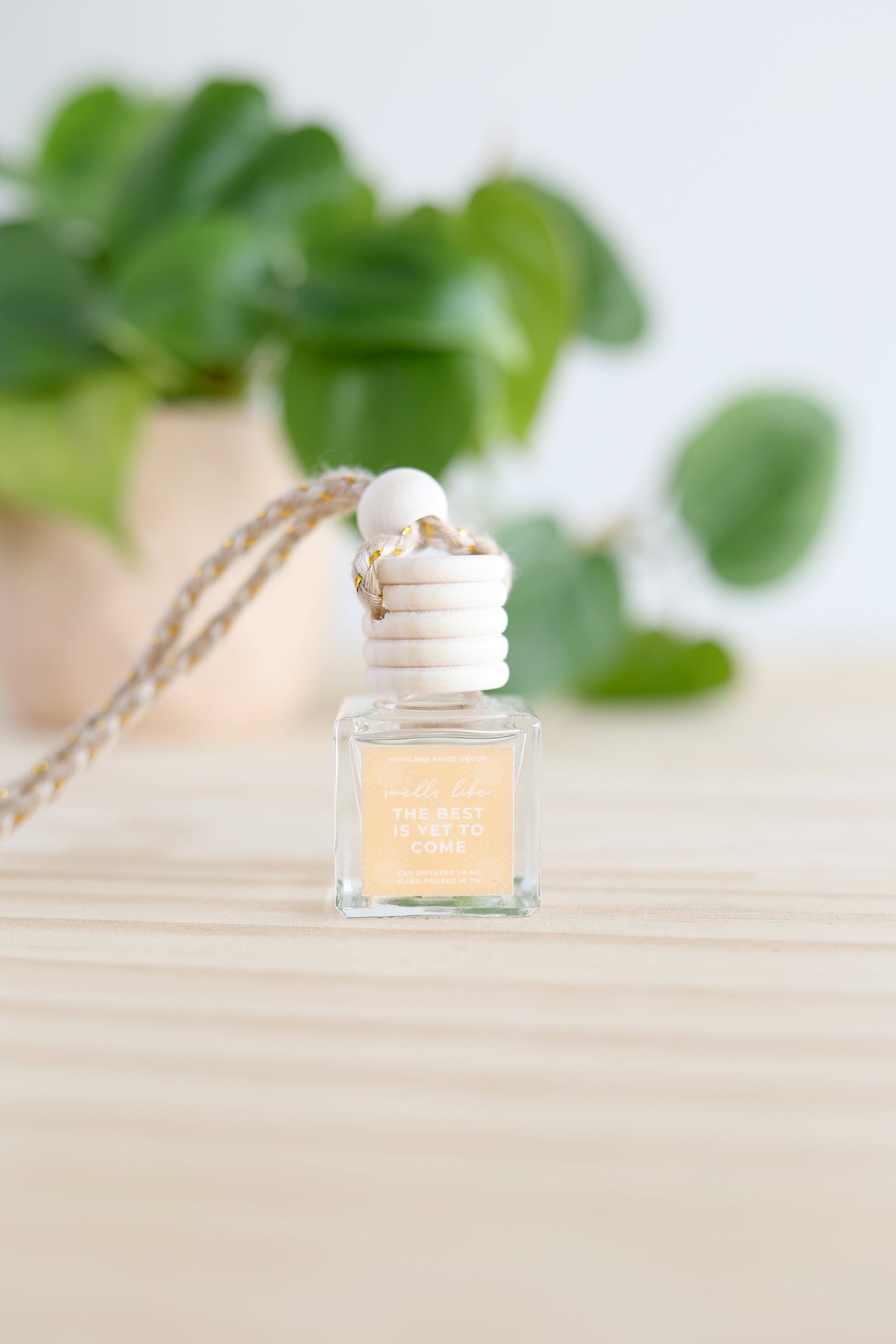 The Best is Yet to Come Car Diffuser from Jubilee Trading Company