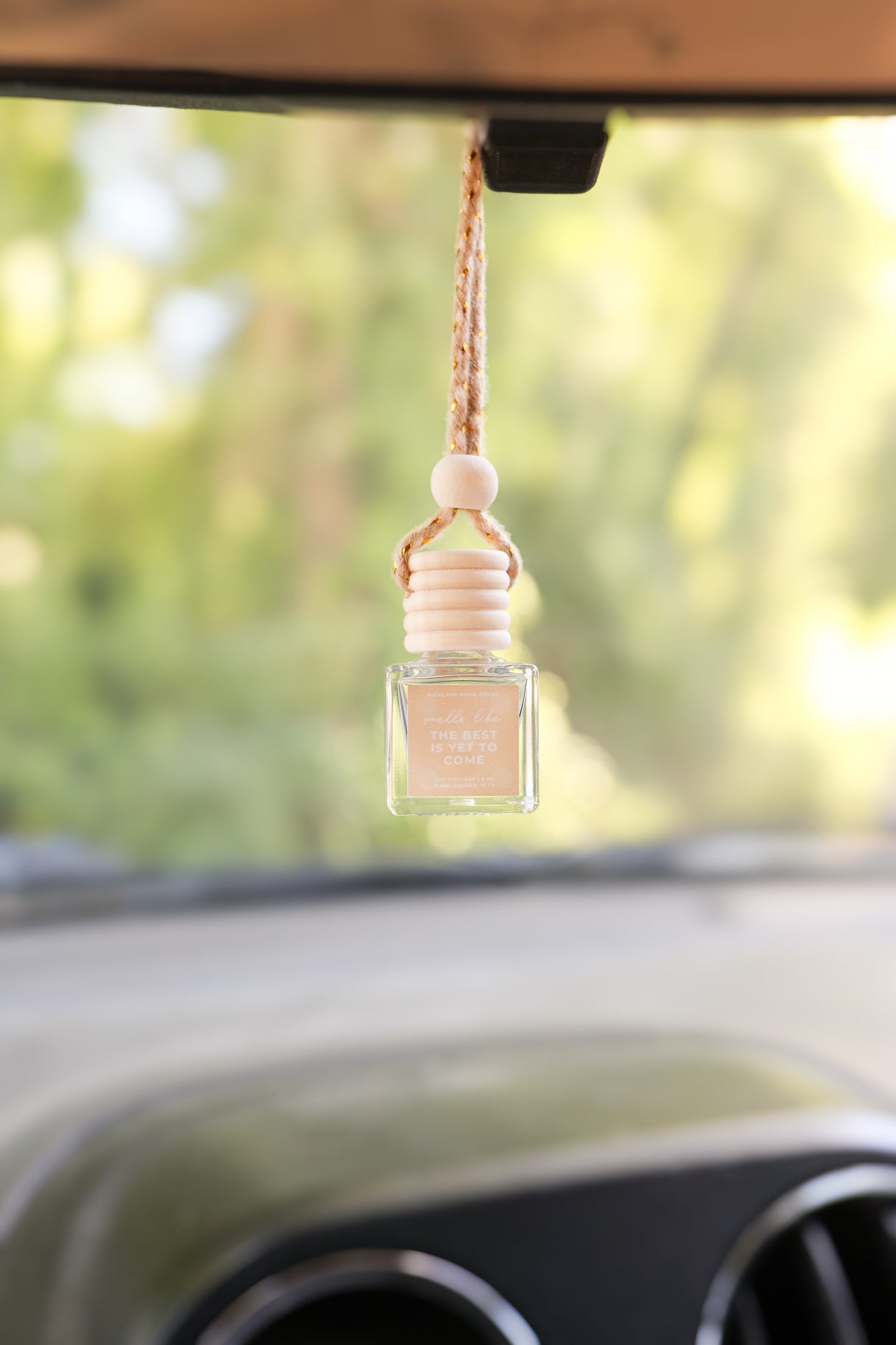The Best is Yet to Come Car Diffuser from Jubilee Trading Company