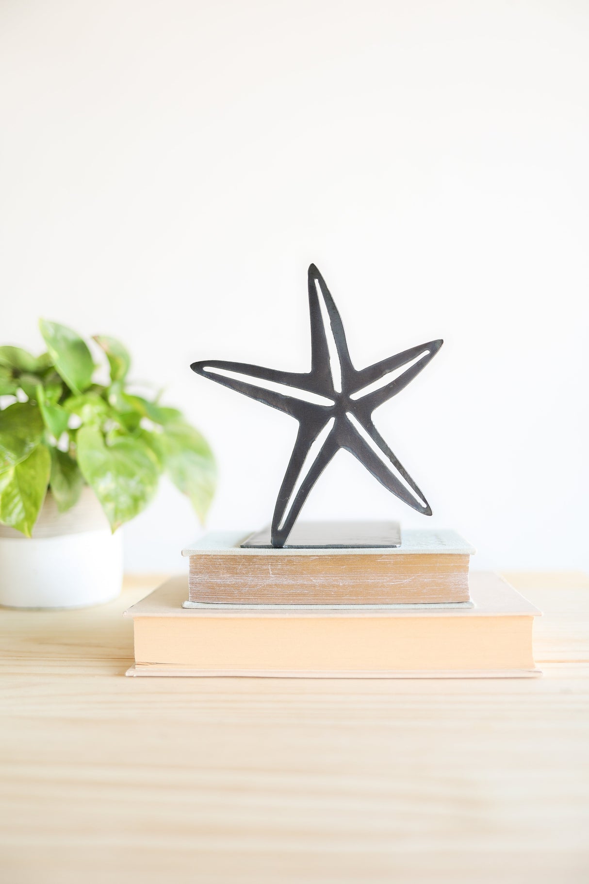 Starfish Bookend from Jubilee Trading Company