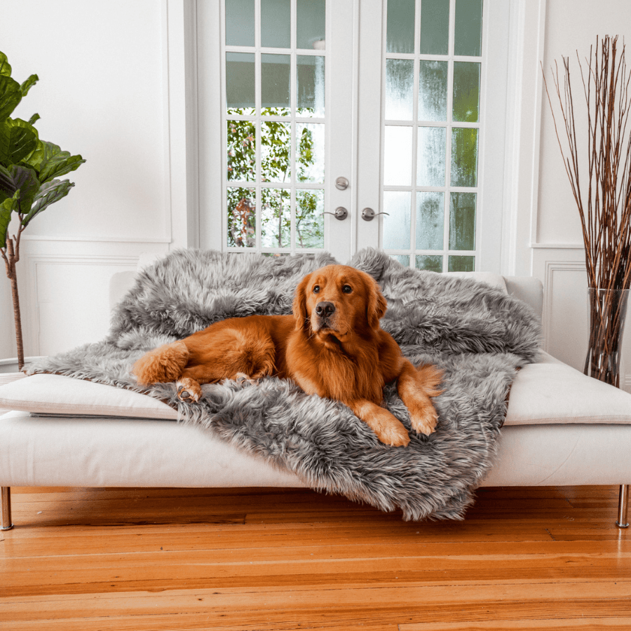 PupProtector™ Waterproof Throw Blanket - Charcoal Grey from Paw.com