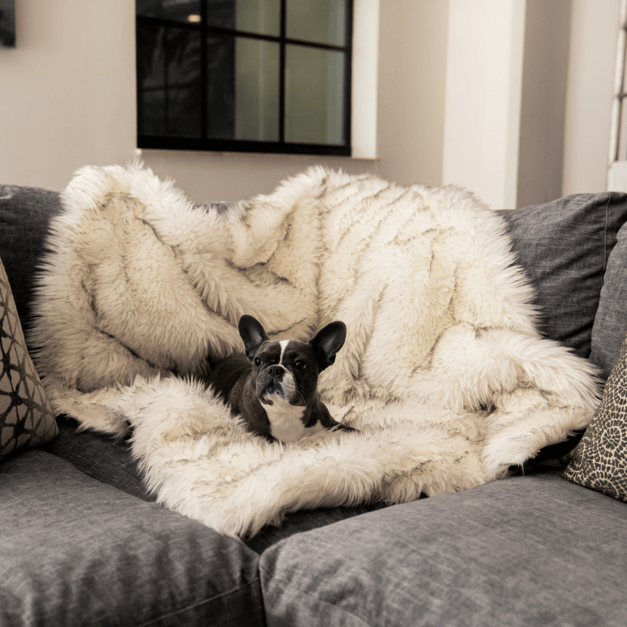 PupProtector™ Waterproof Throw Blanket - White with Brown Accents from Paw.com