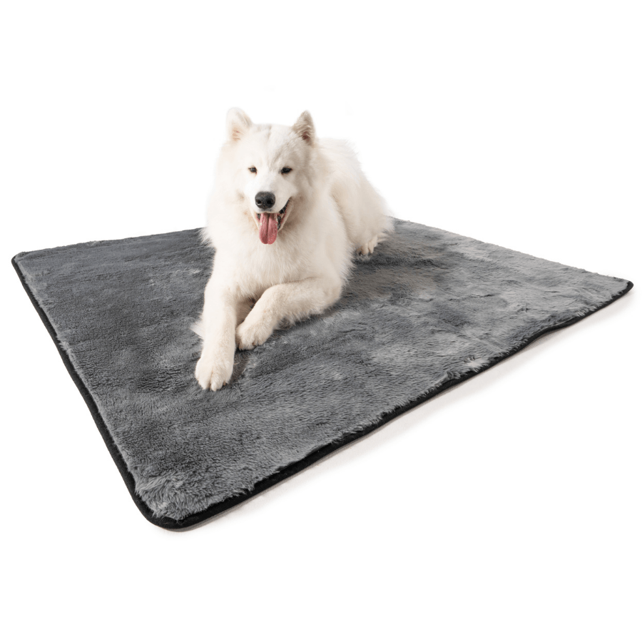 PupProtector™ Summer Short Fur Waterproof Throw Blanket - Charcoal Grey from Paw.com