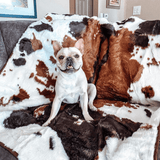 PupProtector™ Waterproof Throw Blanket - Brown Faux Cowhide from Paw.com