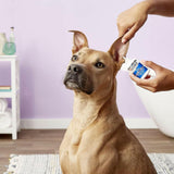 ZYMOX Otic Enzymatic Solution With 1% Hydrocortisone from HardyPaw
