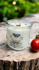 Rocks Candle - Heirloom Tomato (Wood Wick, Prehnite & Red Jasper, Soy Candle) from Evolve Botanica