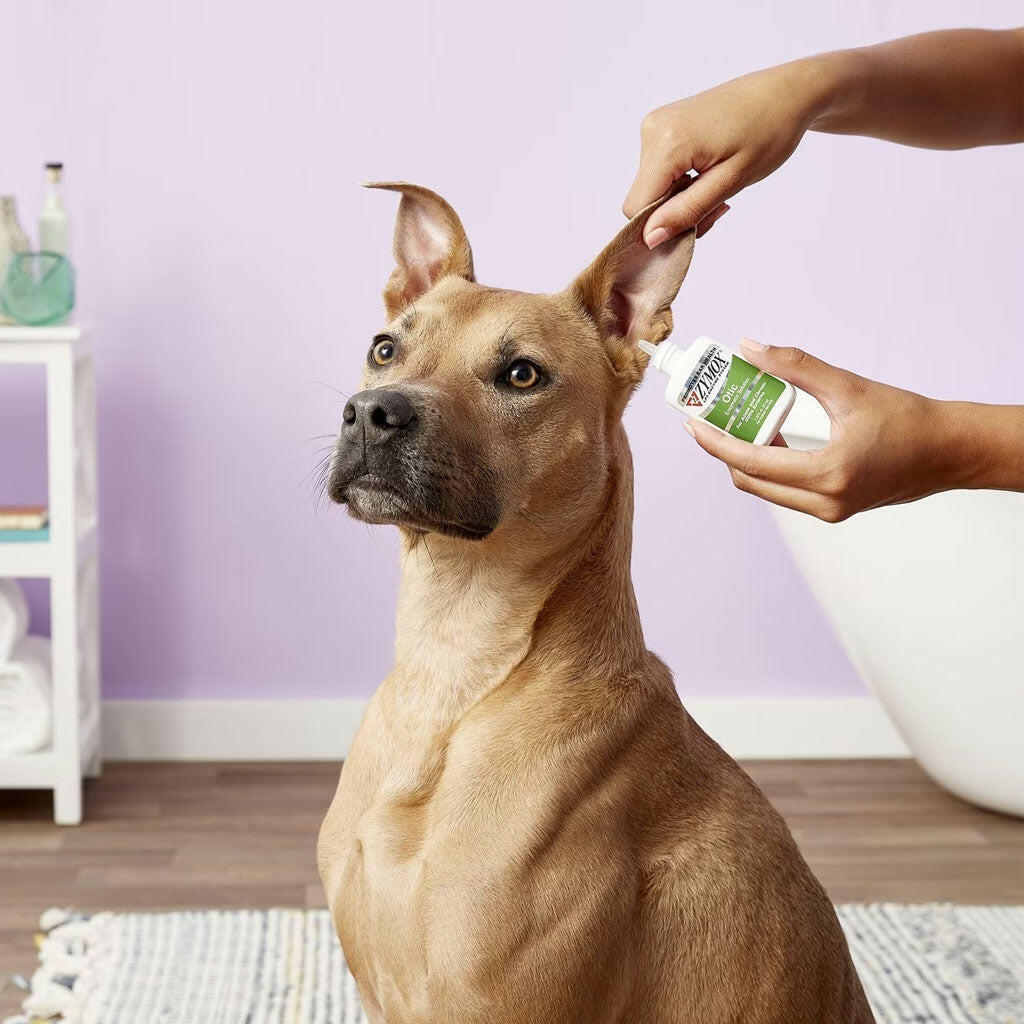 Zymox Otic Ear Treatment without Hydrocortisone from HardyPaw