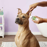 Zymox Otic Ear Treatment without Hydrocortisone from HardyPaw