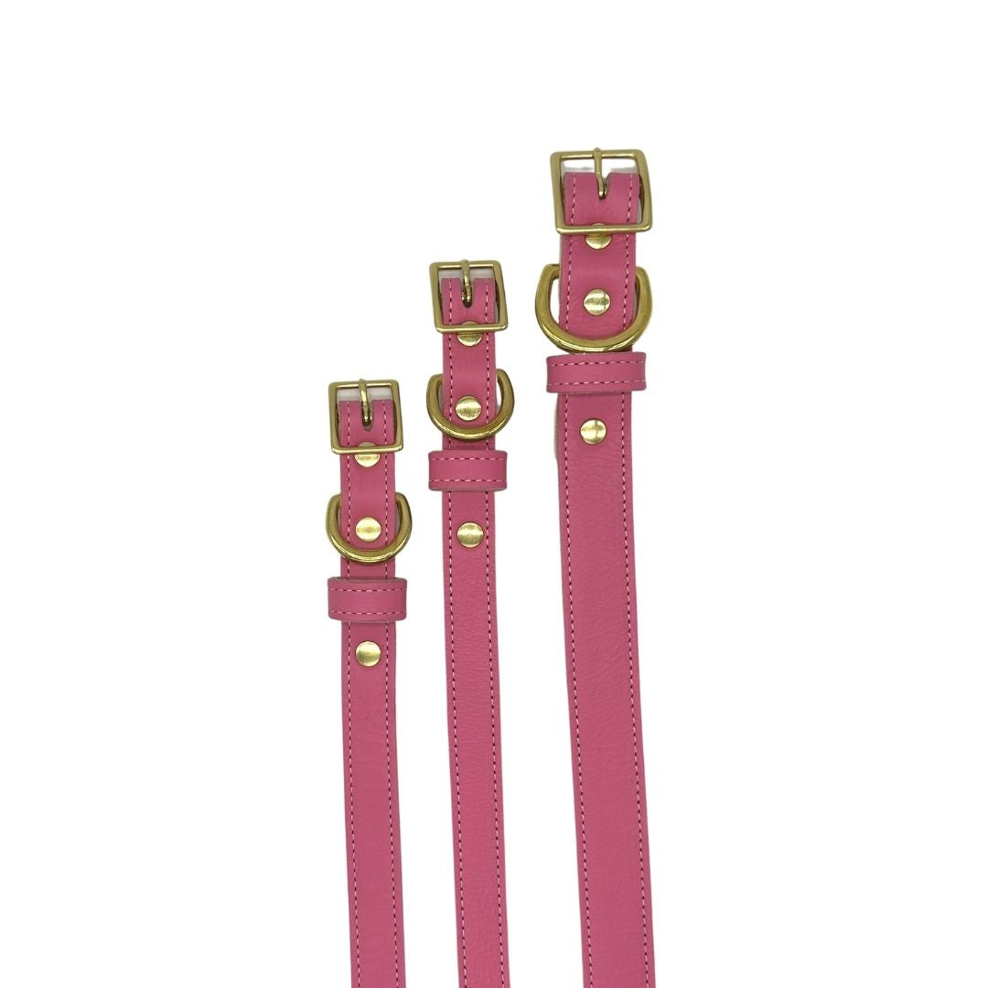 Plain Leather Dog Collar from Bonne et Filou