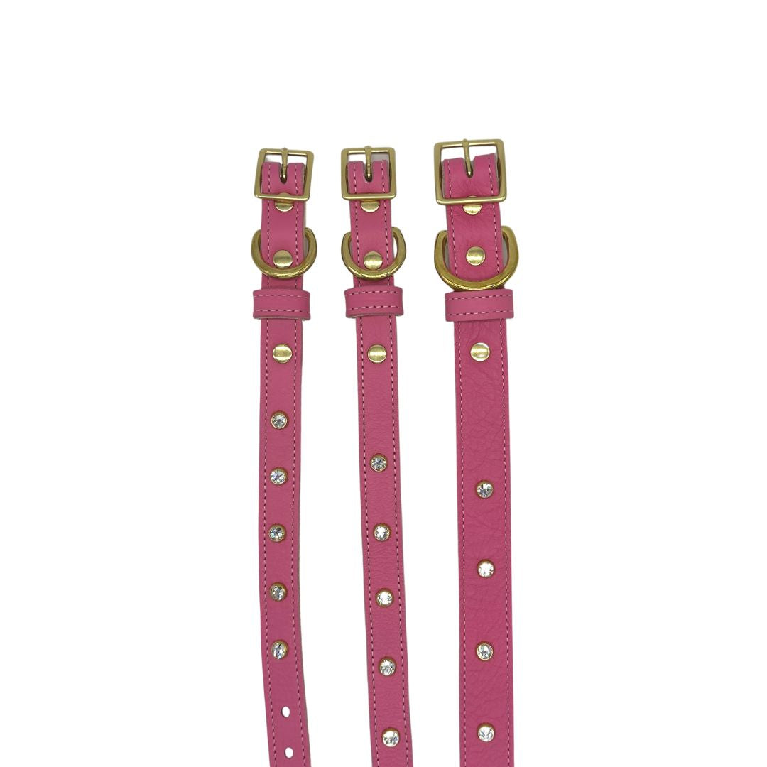 Plain Leather Dog Collar from Bonne et Filou
