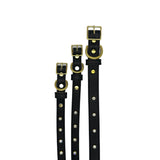 Plain Leather Dog Collar from Bonne et Filou
