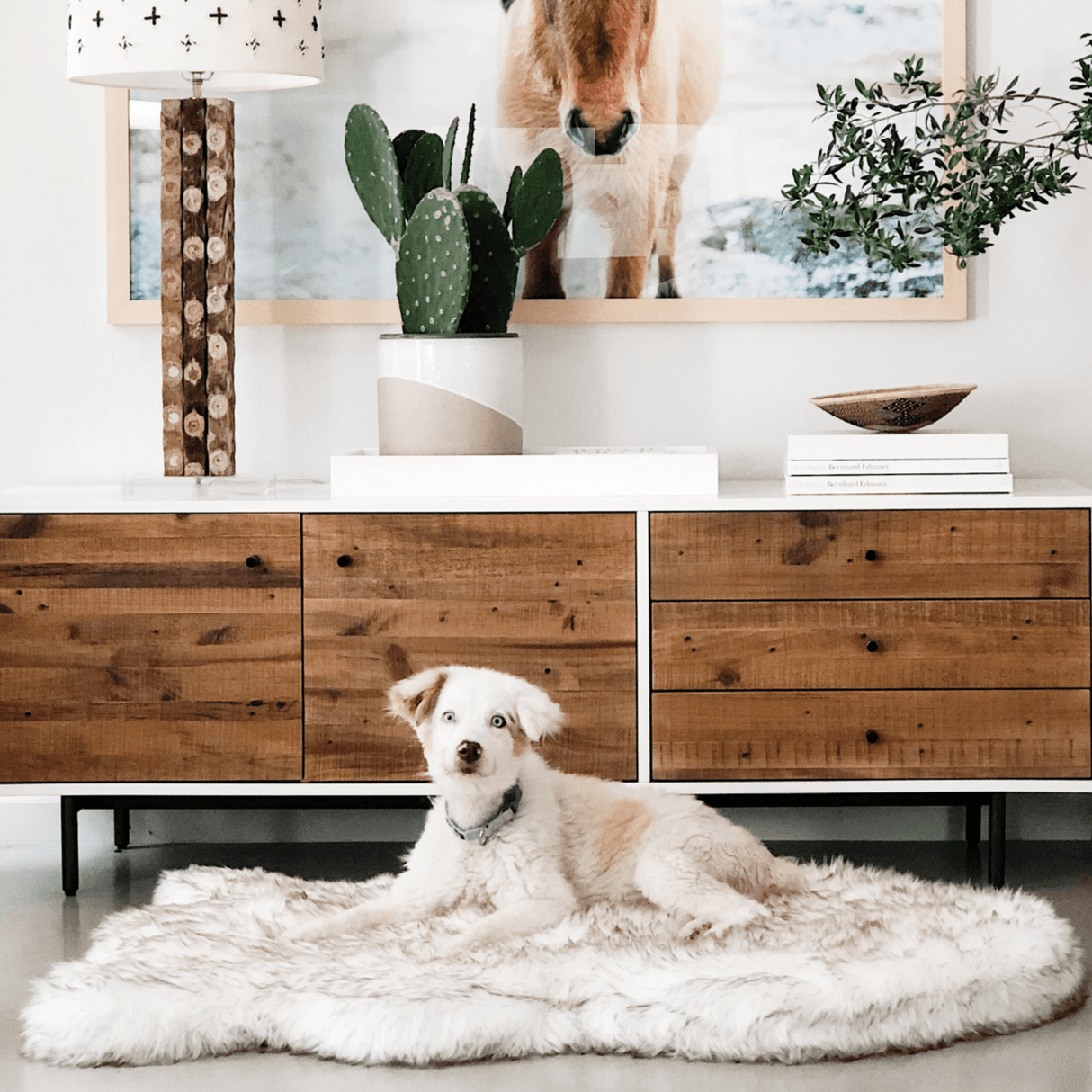 PupRug by Paw.com™ Faux Fur Orthopedic Dog Bed - Curve White with Brown Accents from Paw.com