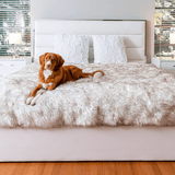 PupProtector™ Waterproof Throw Blanket - White with Brown Accents from Paw.com
