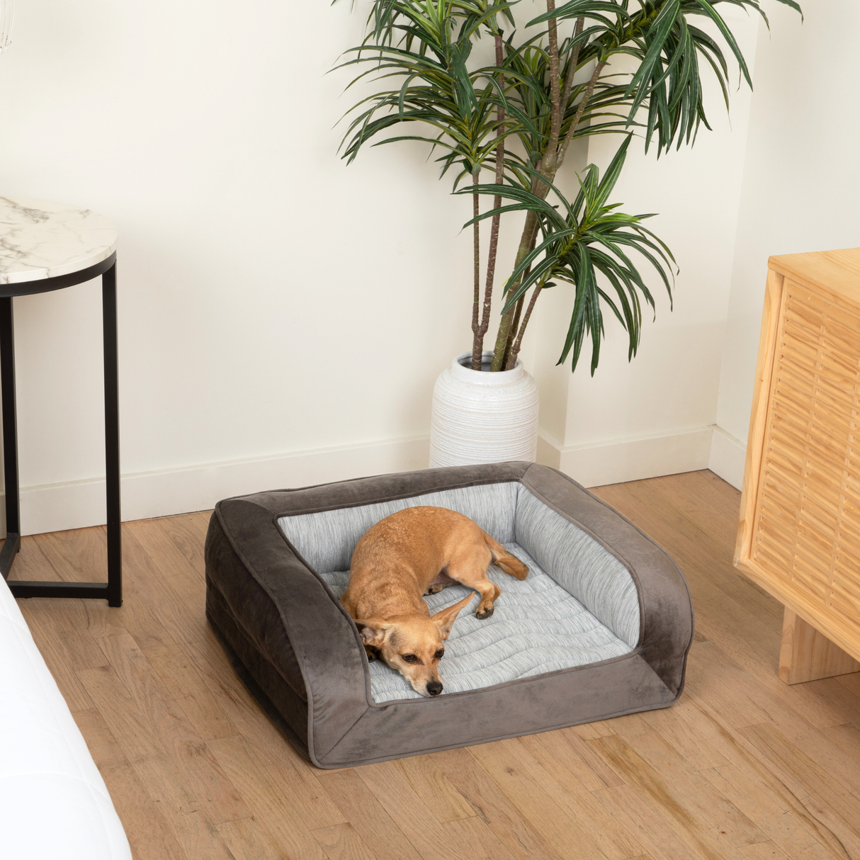 PupChill™ Cooling Bolster Dog Bed from Paw.com