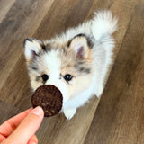 Beef Chips Dog Treats | Single-Ingredient Healthy Treats for Dogs from Farm To Pet