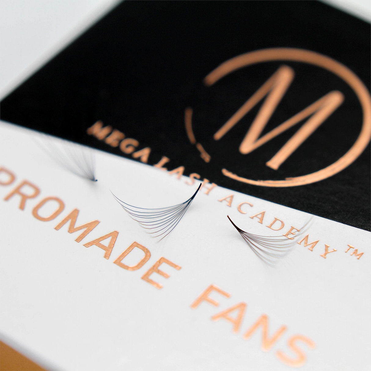 Mix 10D Promade Loose Fans - 1000 Fans from Mega Lash Academy