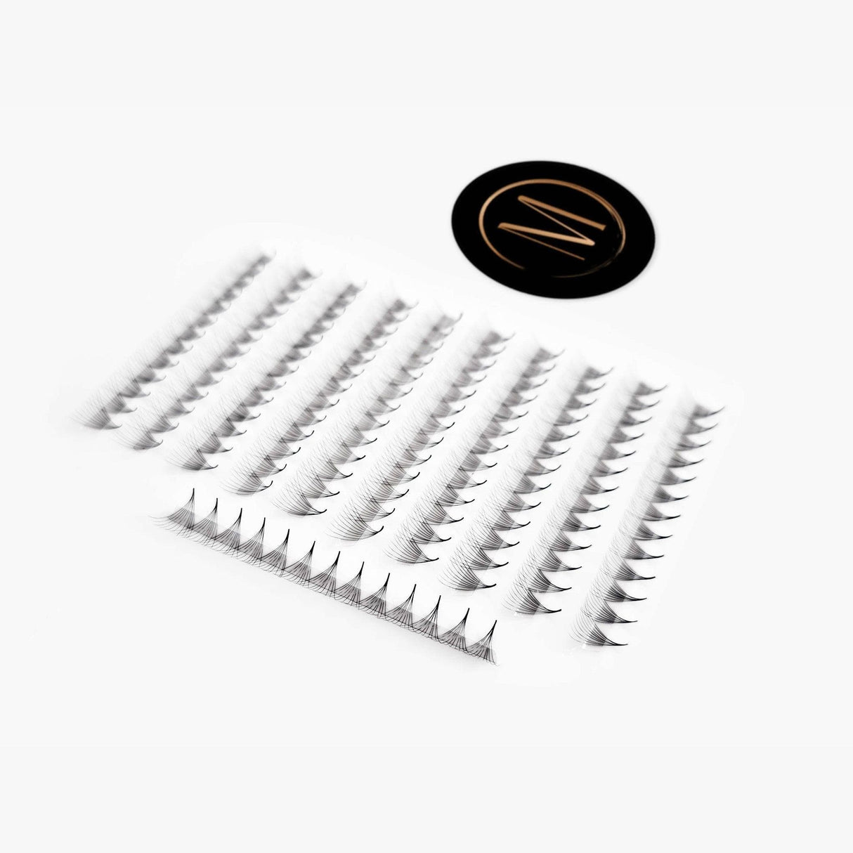 Mix 10D Rapid Promade Fans® - 1000 Fans from Mega Lash Academy