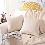 Velvet Cushion Covers from Moderny