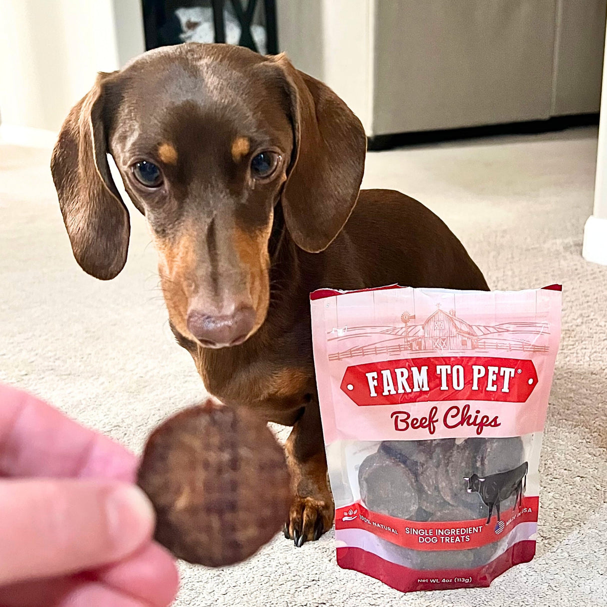 Beef Chips Dog Treats | Single-Ingredient Healthy Treats for Dogs from Farm To Pet