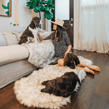 PupRug™ Runner Faux Fur Memory Foam Dog Bed - Curve White with Brown Accents From Paw.com