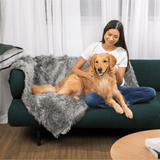 PupCloud™ Human-Size Dog Bed + Matching Waterproof Blanket Bundle - Charcoal Grey from Paw.com