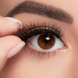 ARDELL Magnetic Liner & Lash kit from VIAI BEAUTY