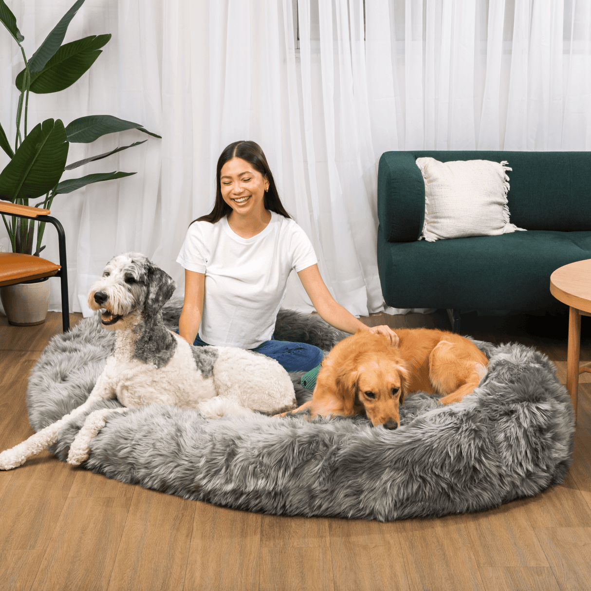 PupCloud™ Human-Size Dog Bed + Matching Waterproof Blanket Bundle - Charcoal Grey from Paw.com