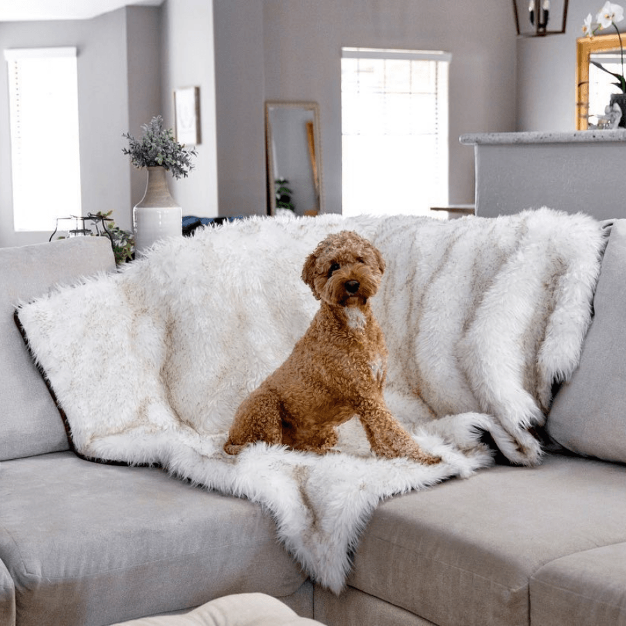 PupProtector™ Waterproof Throw Blanket - White with Brown Accents from Paw.com