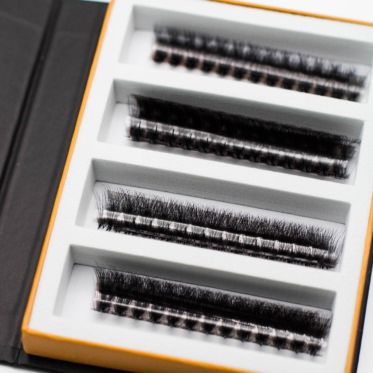 Rapid Promade Fans® - 1000 Fans from Mega Lash Academy