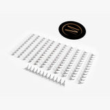 Rapid Promade Fans® - 1000 Fans from Mega Lash Academy
