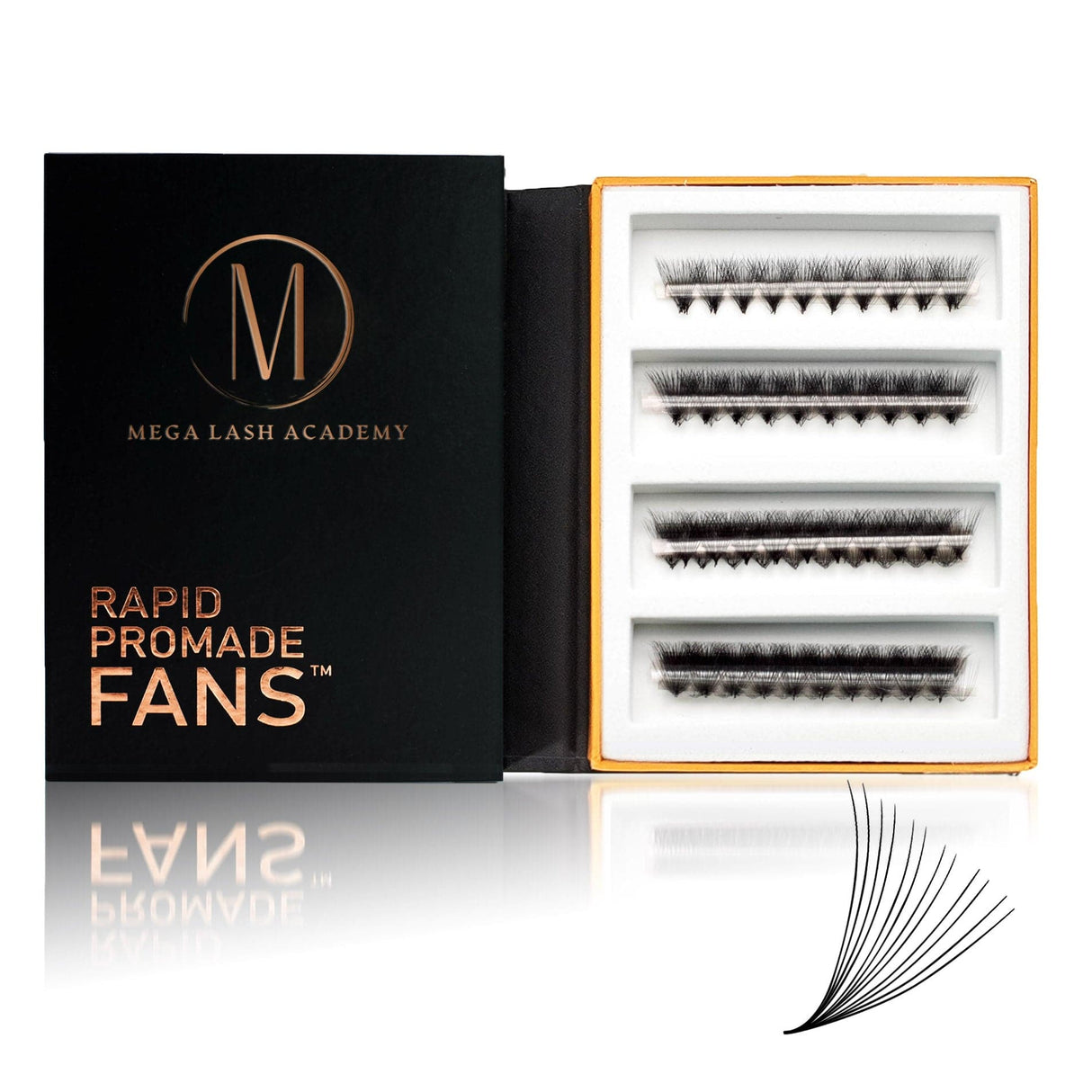 Rapid Promade Fans® - 1000 Fans from Mega Lash Academy