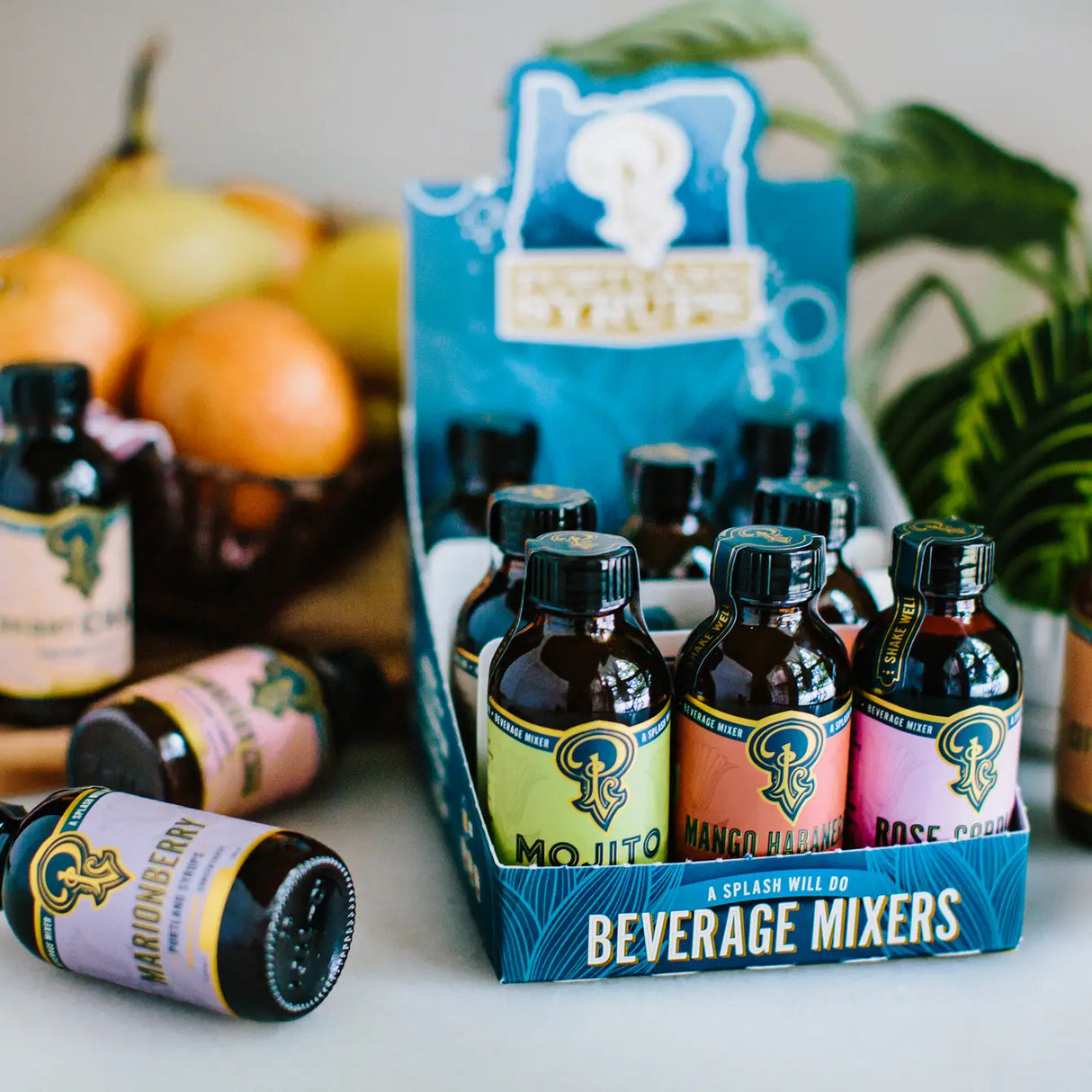 12-Pack Sampler Set from Portland Syrups