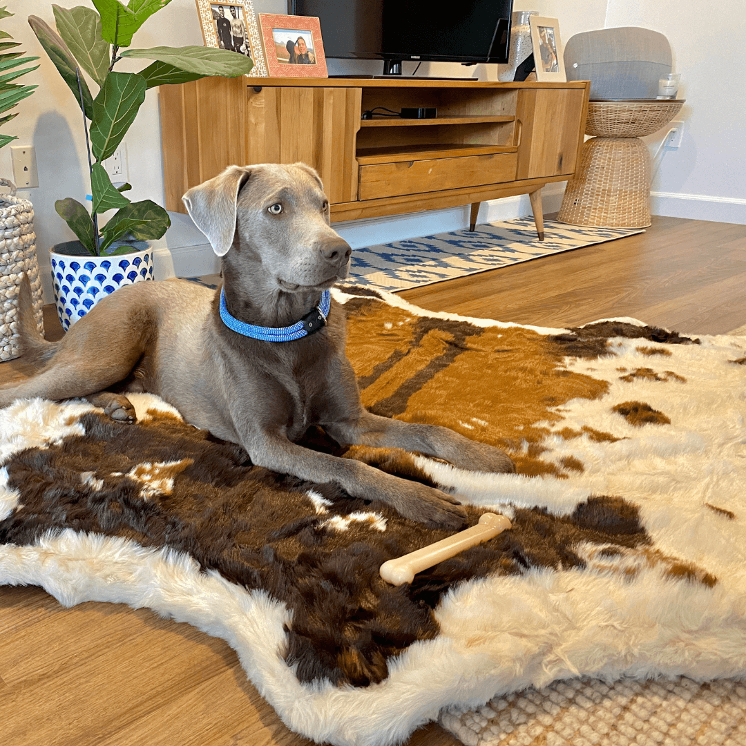 PupRug™ Animal Print Memory Foam Dog Bed - Brown Faux Cowhide From Paw.com