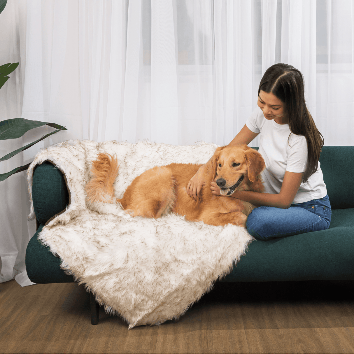 PupCloud™ Human-Size Dog Bed + Matching Waterproof Blanket Bundle - White with Brown Accents from Paw.com