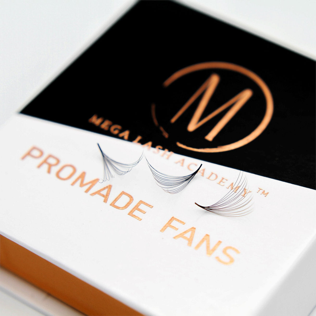 Mix 14D Promade Loose Fans - 1000 Fans from Mega Lash Academy